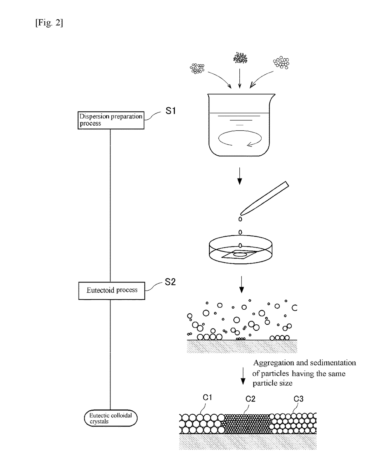 Eutectic colloidal crystal, eutectic colloidal crystal solidified body, and methods for producing them