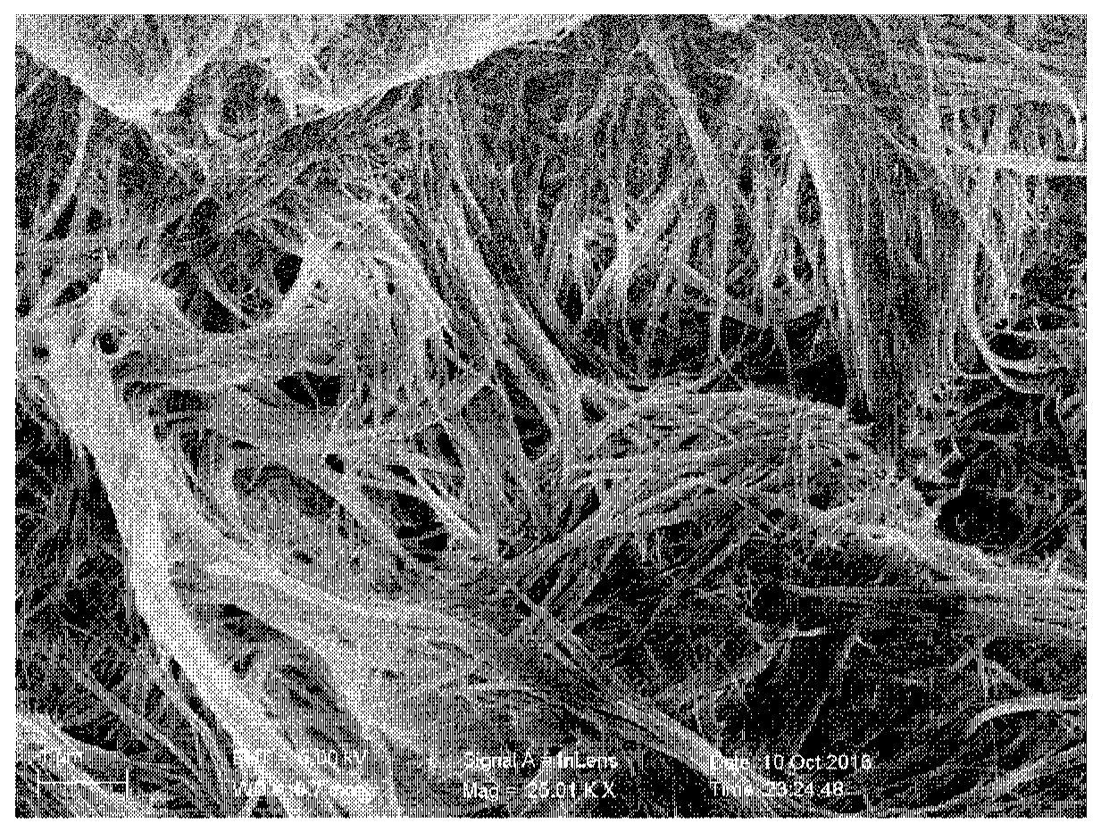 A kind of zinc selenide ultra-thin nanobelt and its anion exchange method for preparation