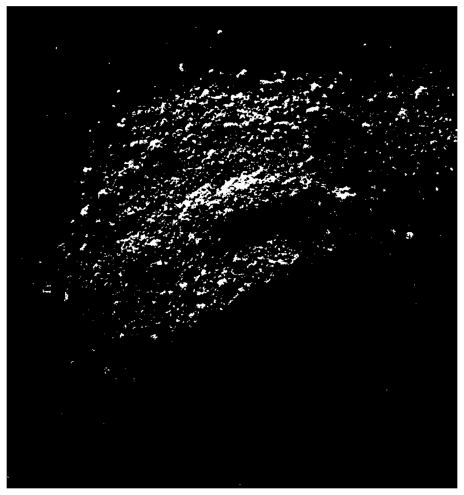 Tungsten tailings cementing material and preparation method thereof