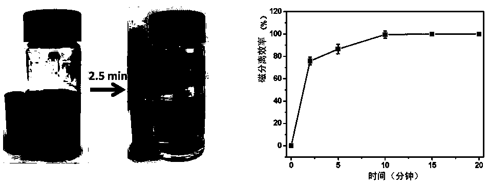 Application of a nanoparticle-coupled probe system in the highly sensitive detection of ctdna