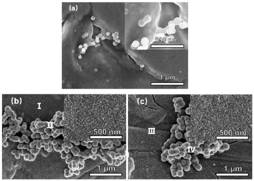 Method for preparing carbon/nano manganese dioxide composite electrode material