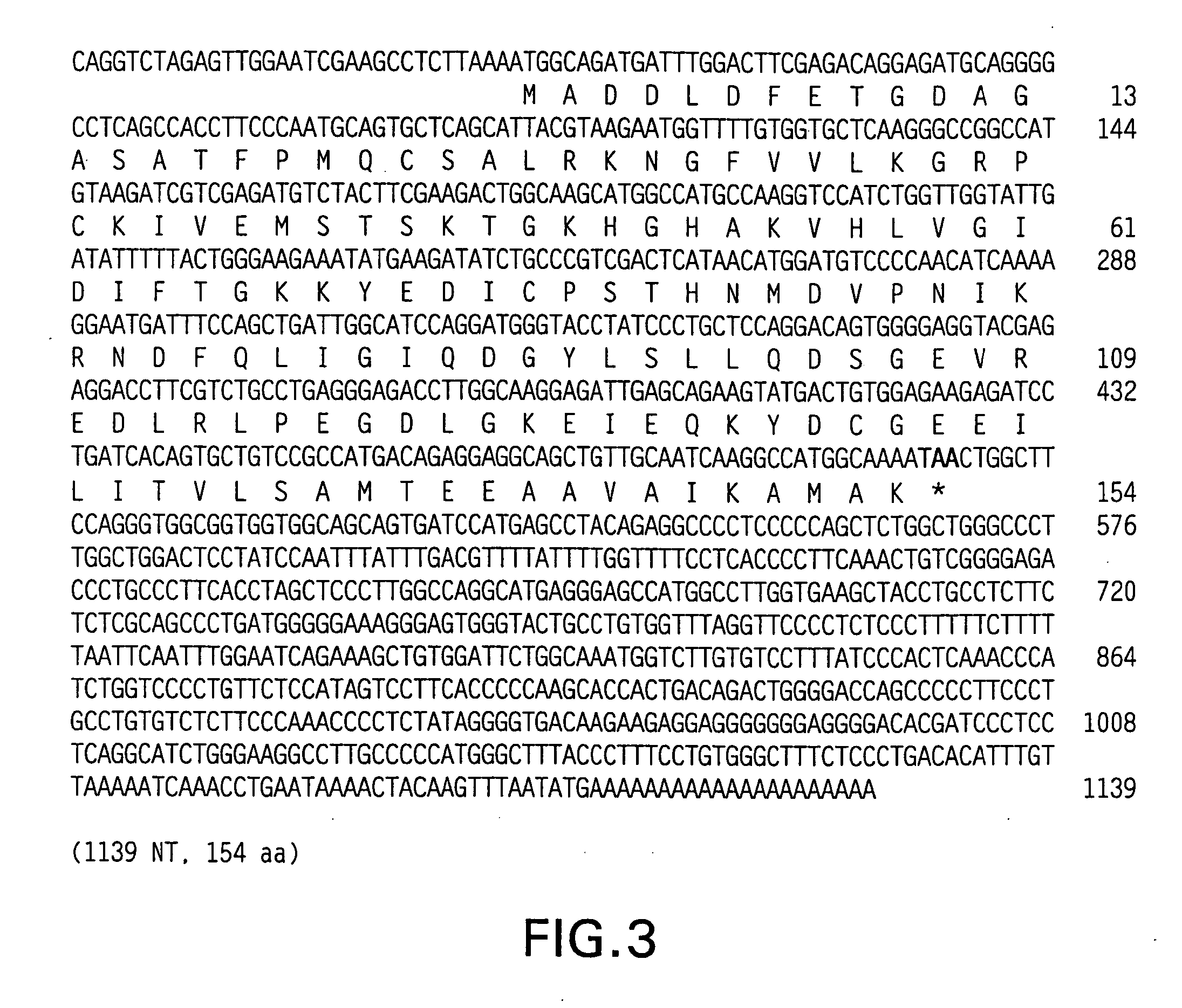 Inhibition of apoptosis-specific eIF-5A ("eIF-5A1") with antisense oligonucleotides and siRNA as anti-inflammatory therapeutics