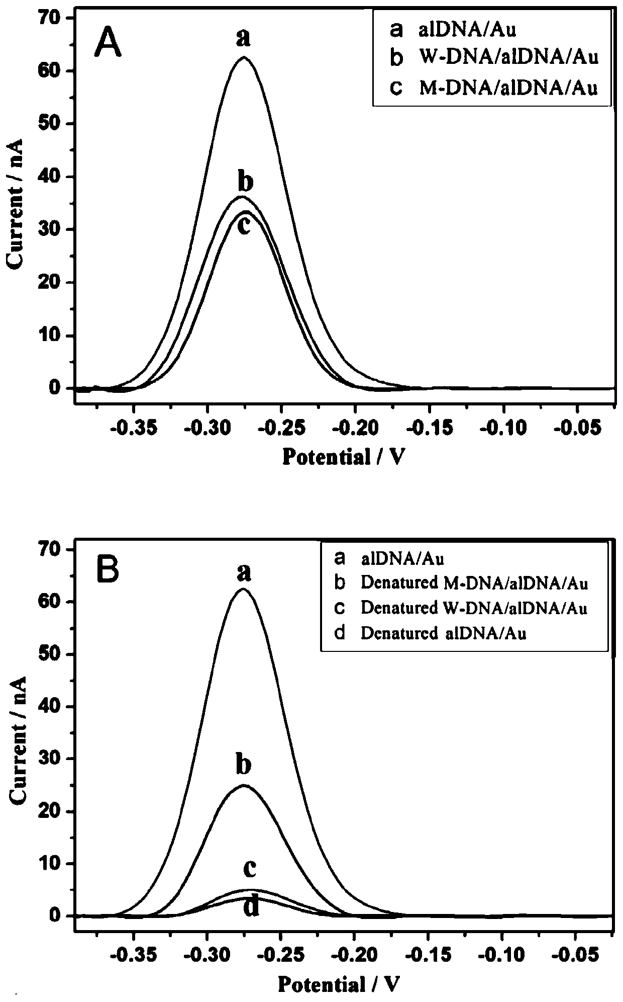 A biosensor and its detection method for simultaneously detecting the total amount of specific dna and the amount of single base mutation