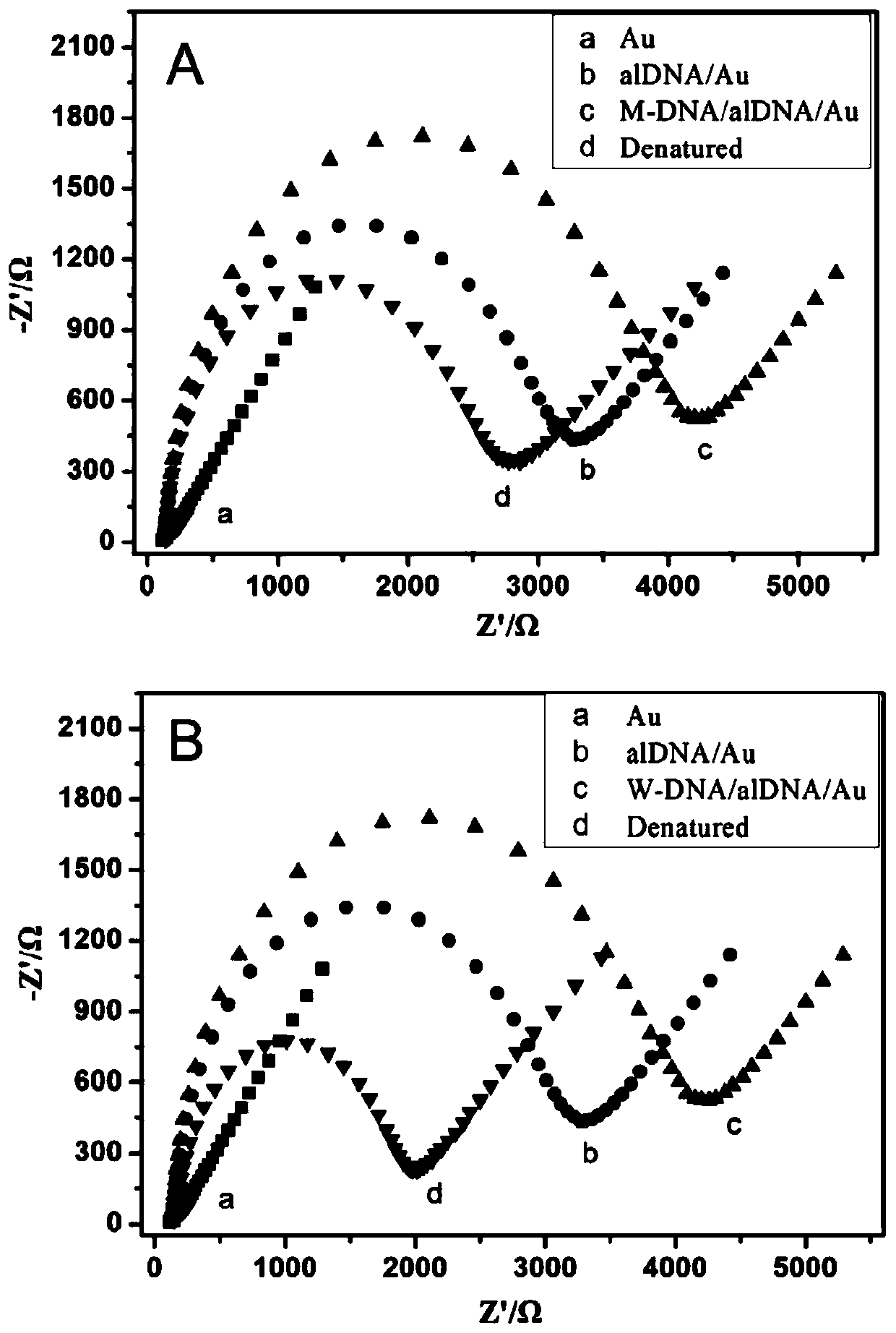 A biosensor and its detection method for simultaneously detecting the total amount of specific dna and the amount of single base mutation