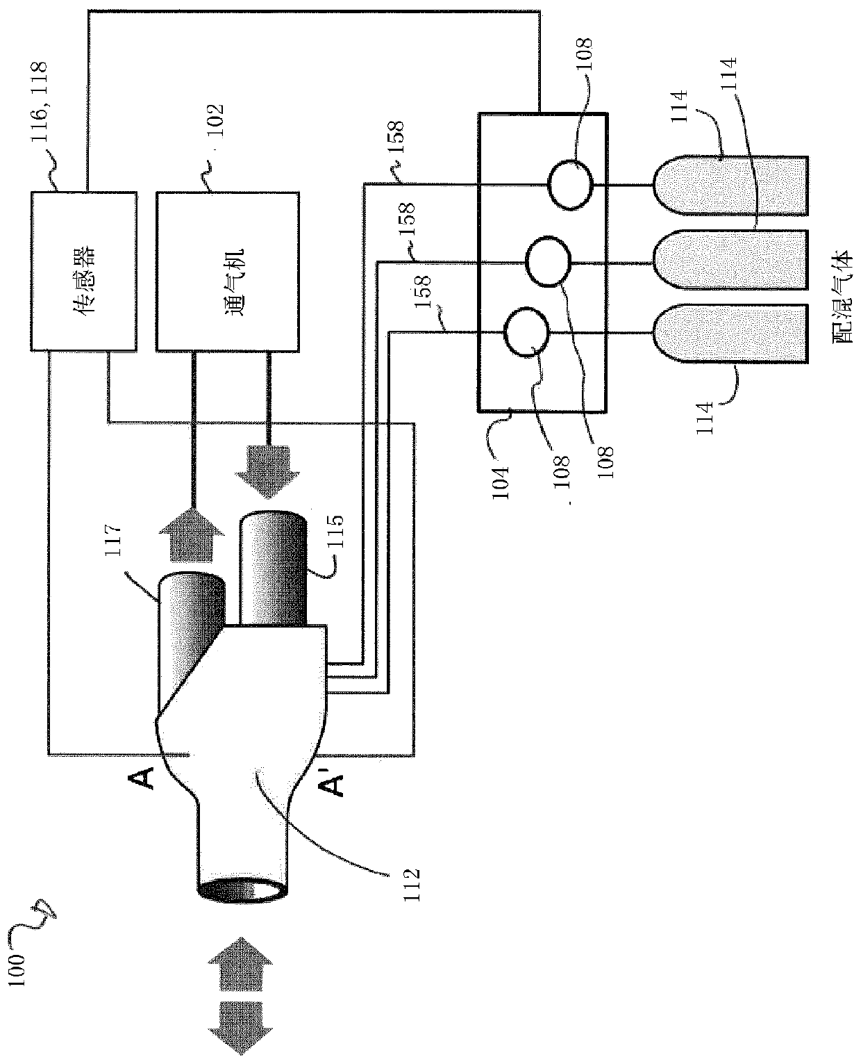 Method and system for estimating the efficiency of the lungs of a patient