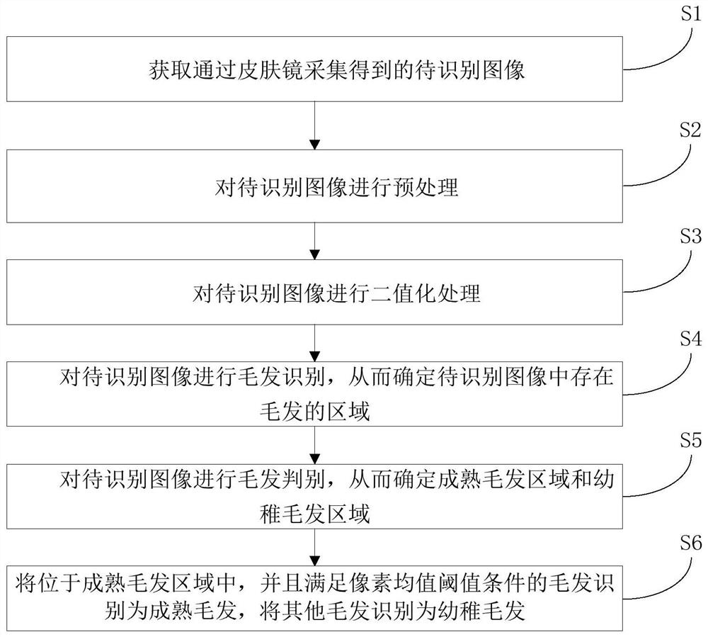 Hair image recognition method based on dermatoscope, computer device and storage medium