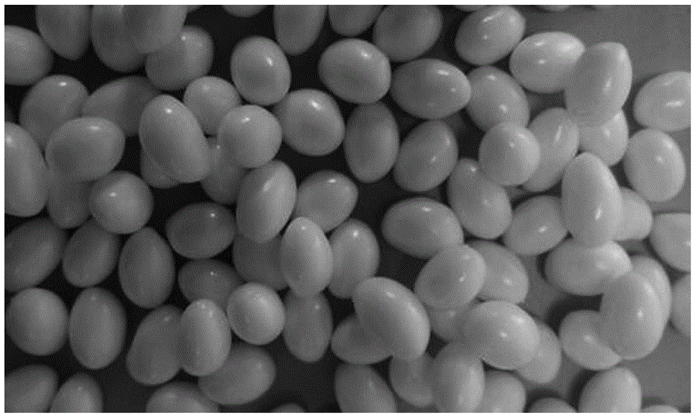 A preparation method of thermoplastic polyurethane beads and the bead molding process