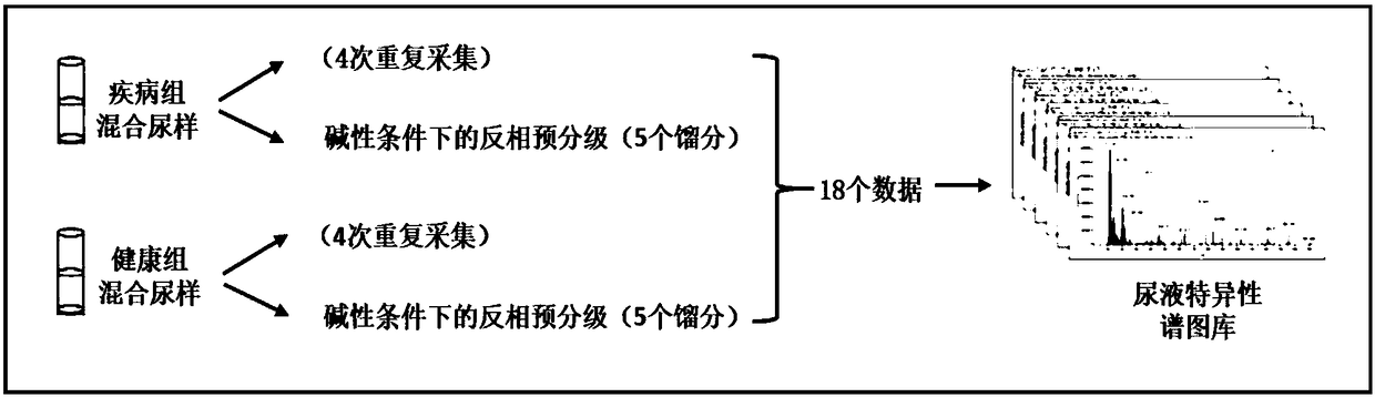 Proteomics mass spectrometric detection method aiming at urine sample