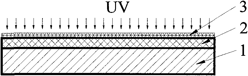 Ultrasonic processing method for enhancing size accuracy of micro-electroformed apparatus