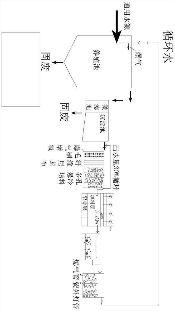 Freshwater fish and vegetable symbiotic closed circulation system