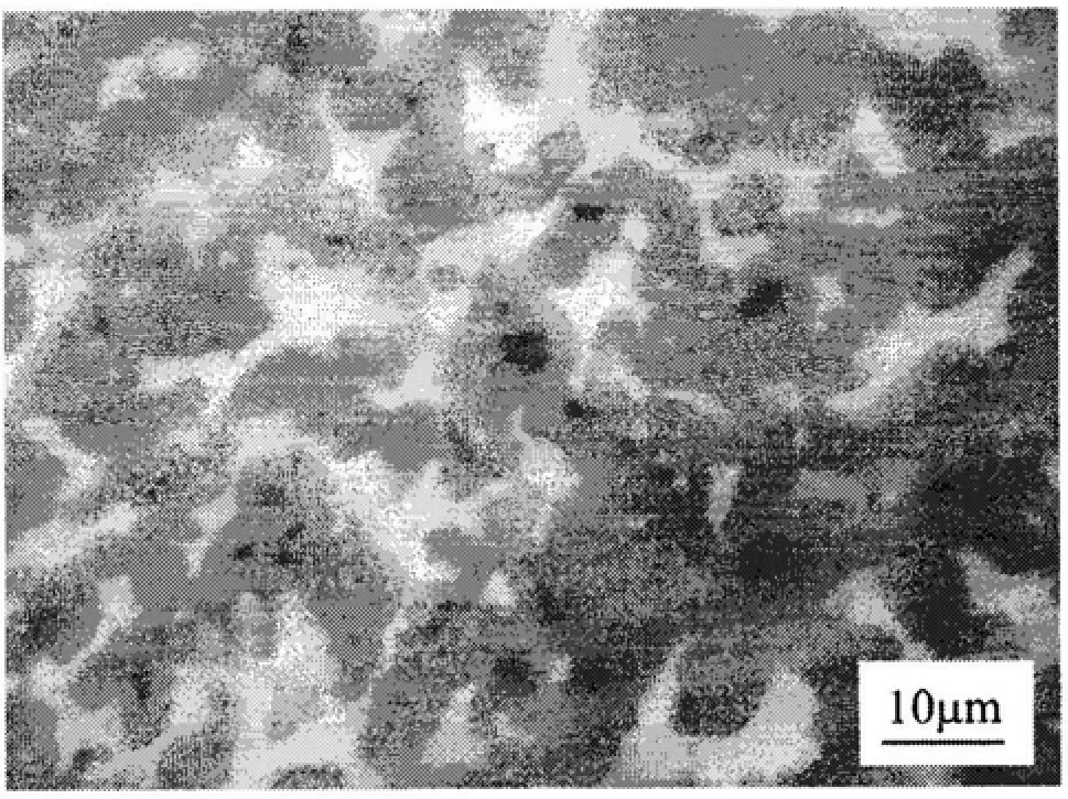 Reaction sintering lightweight silicon carbide mirror blank and preparation method thereof