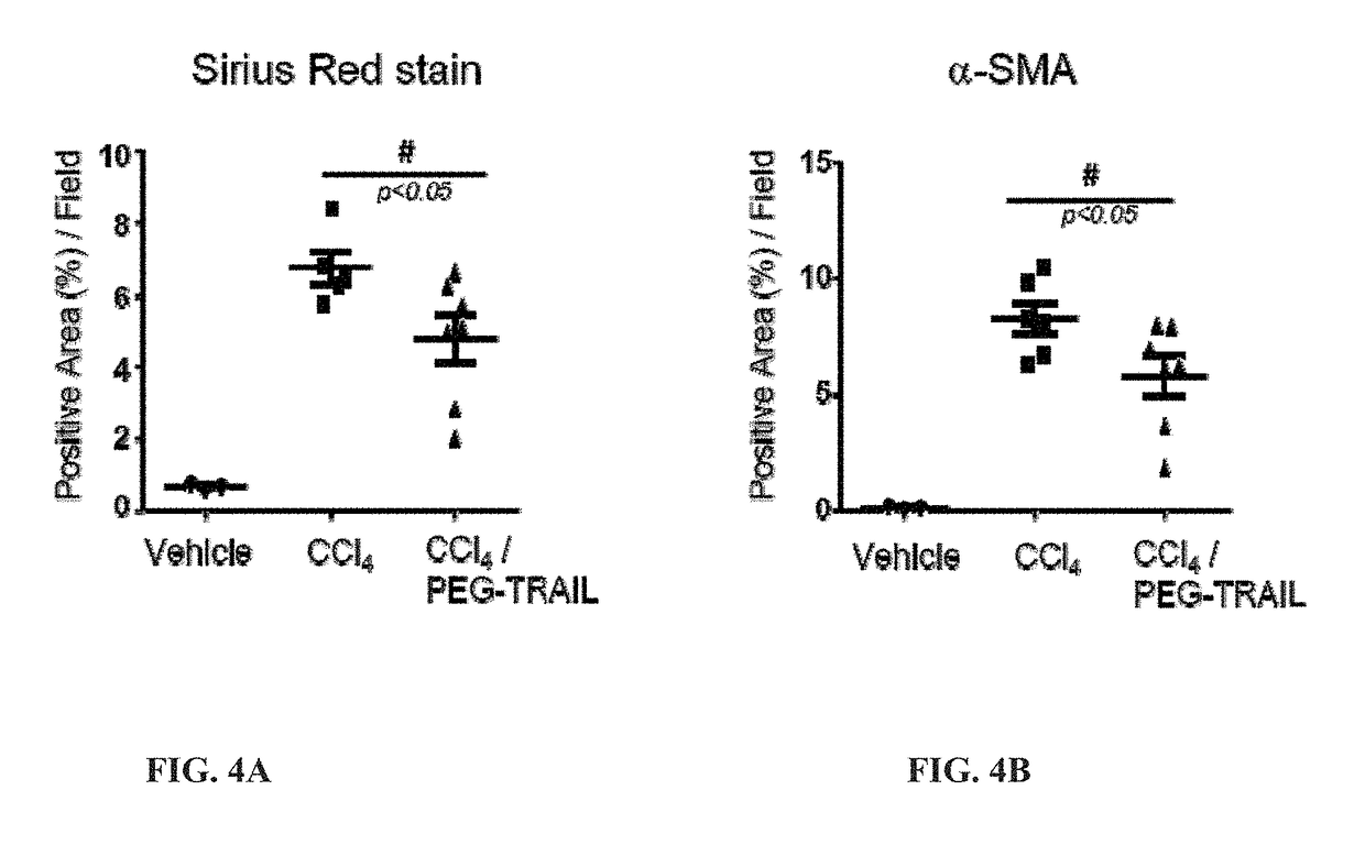 Trail receptor agonists for treatment of fibrotic disease