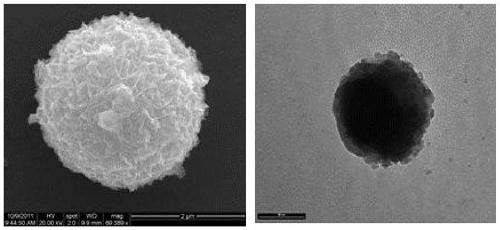 Method for one-pot synthesis of regular-morphology sulfide-TiO2 composite nanostructure by solvothermal method and application thereof