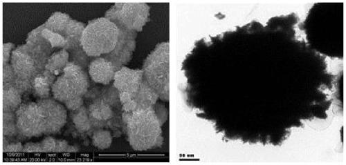 Method for one-pot synthesis of regular-morphology sulfide-TiO2 composite nanostructure by solvothermal method and application thereof