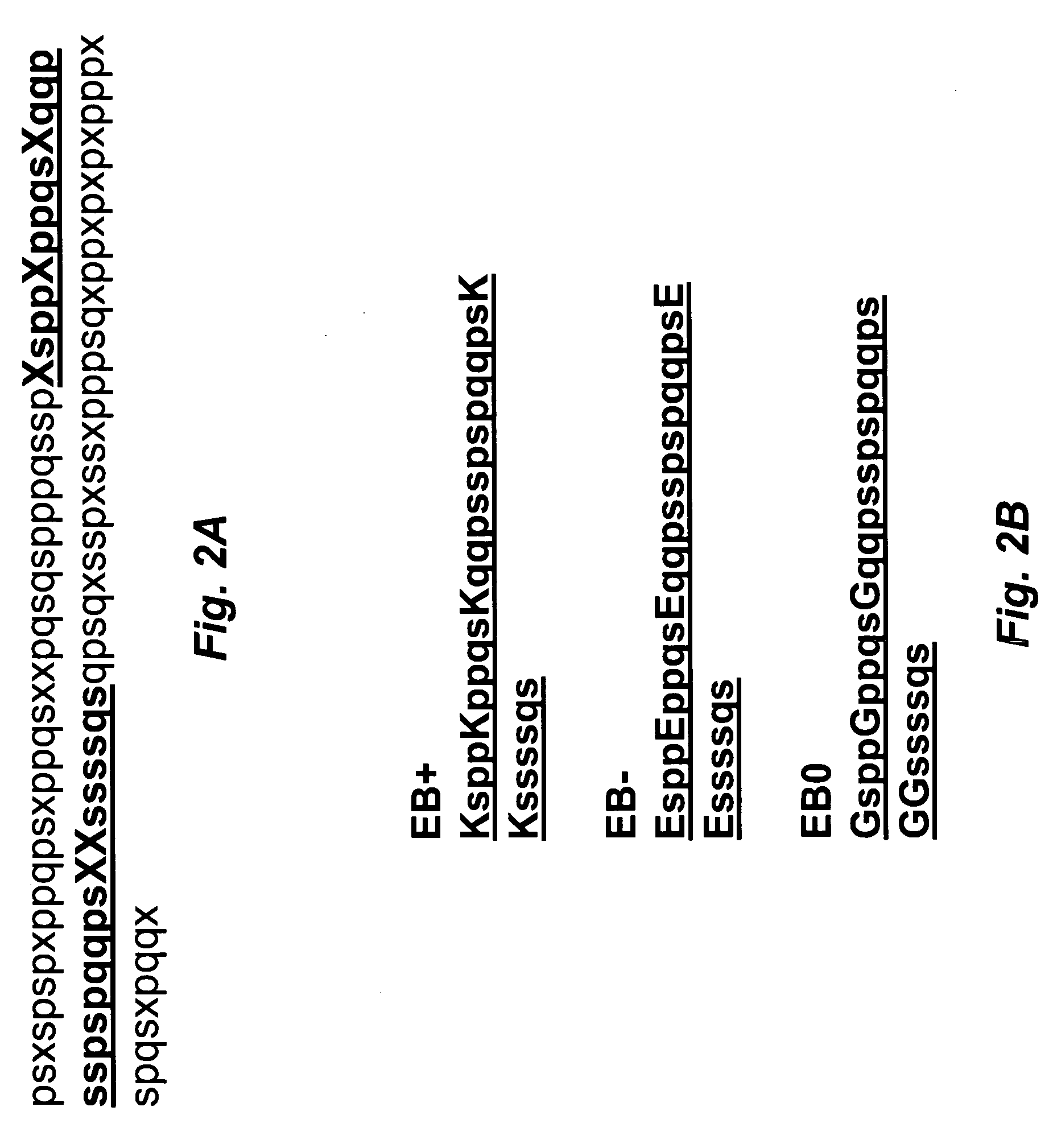 Artificial entropic bristle domain sequences and their use in recombinant protein production