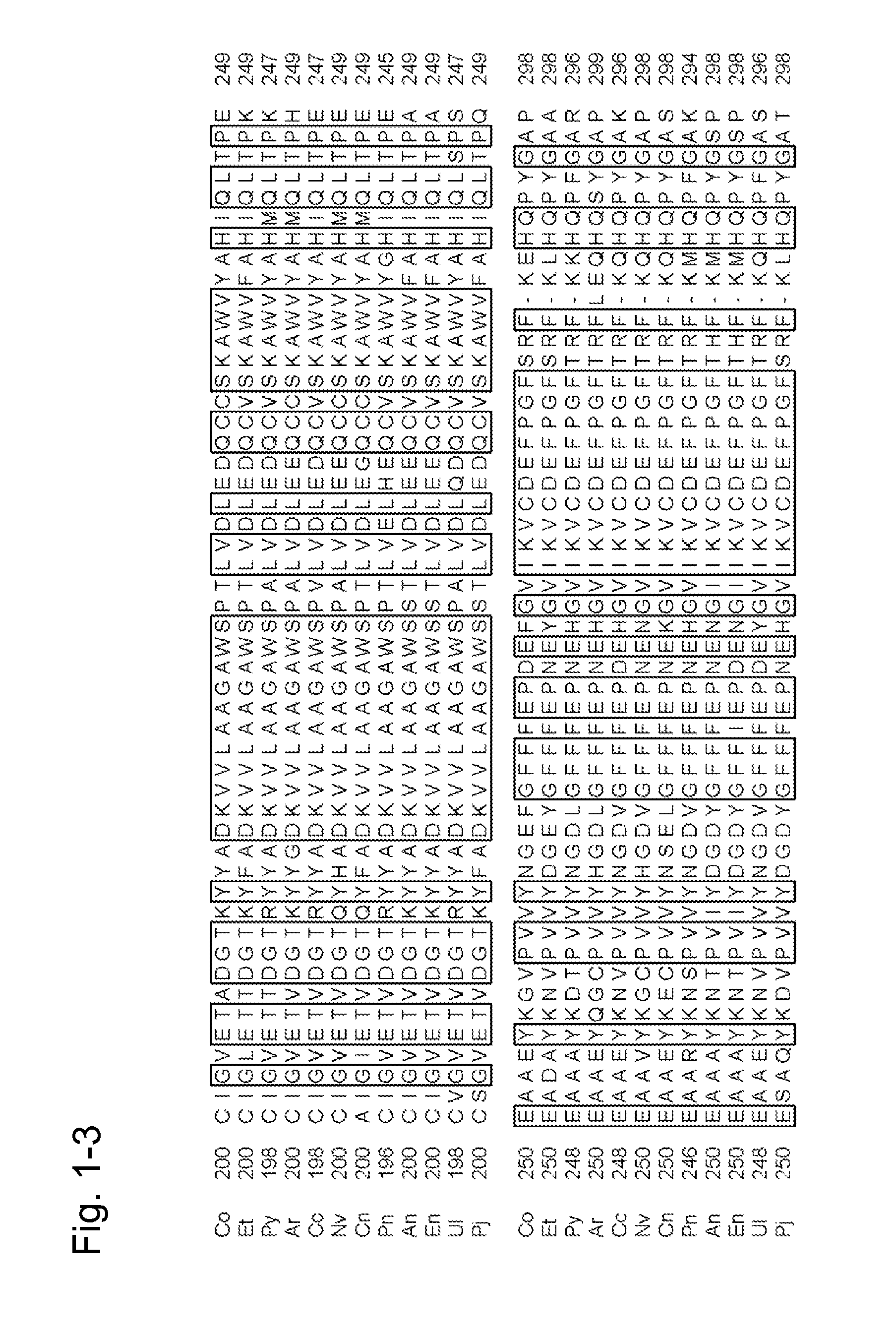 Modified amadoriase reacting with fructosyl hexapeptide