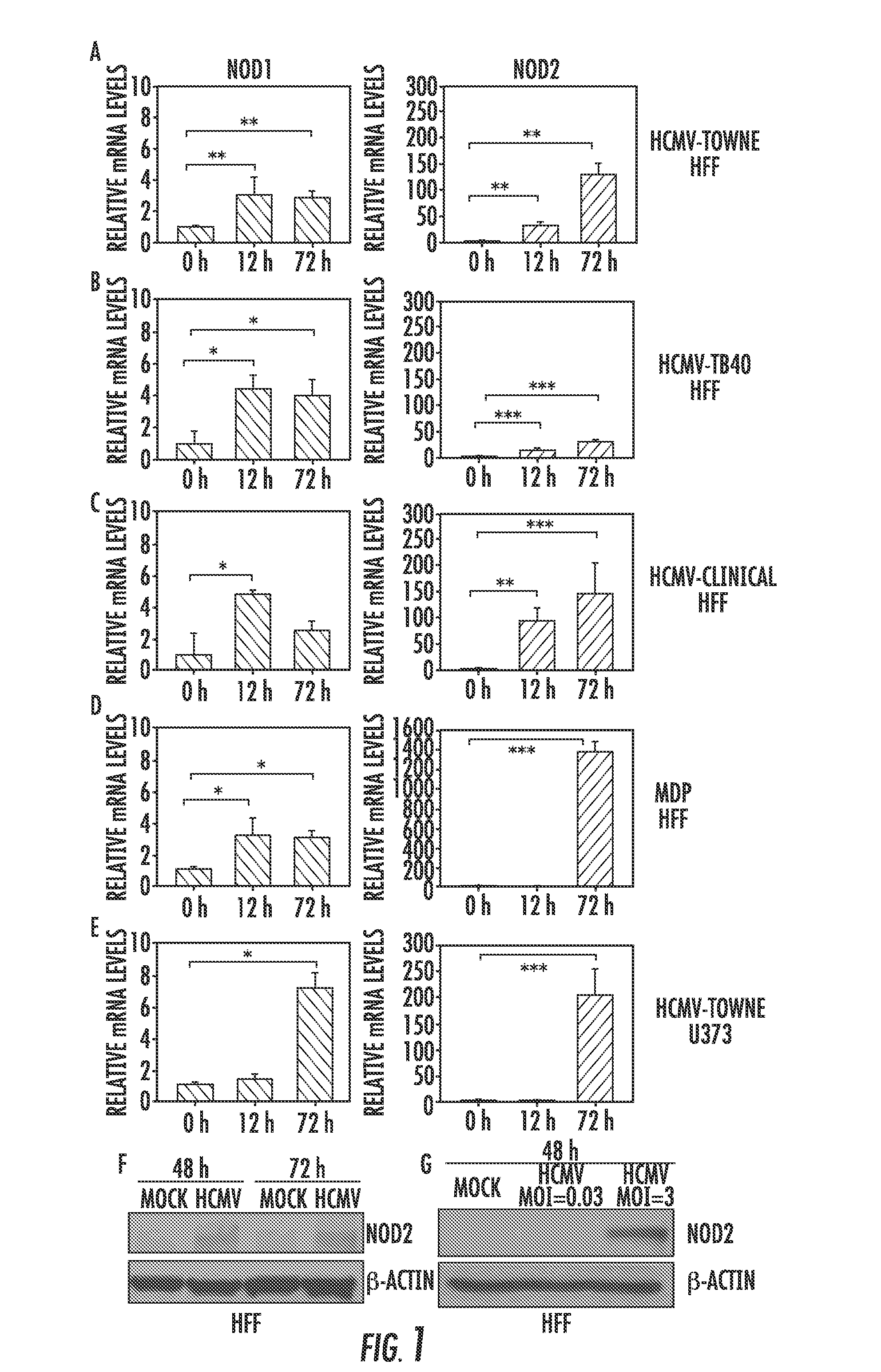 Compositions and methods for prediction and treatment of human cytomegalovirus infections