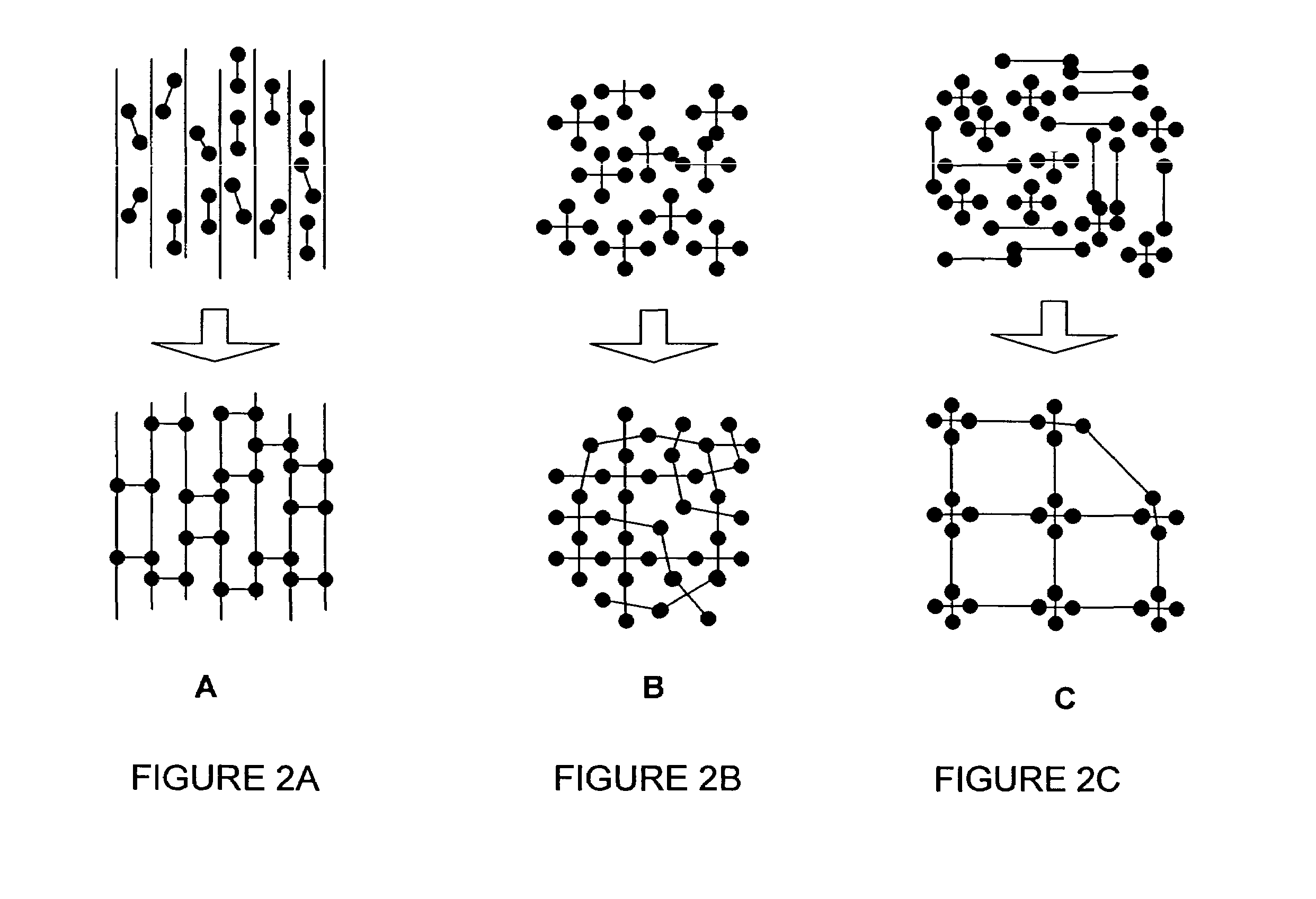 Polymers, supersoft elastomers and methods for preparing the same