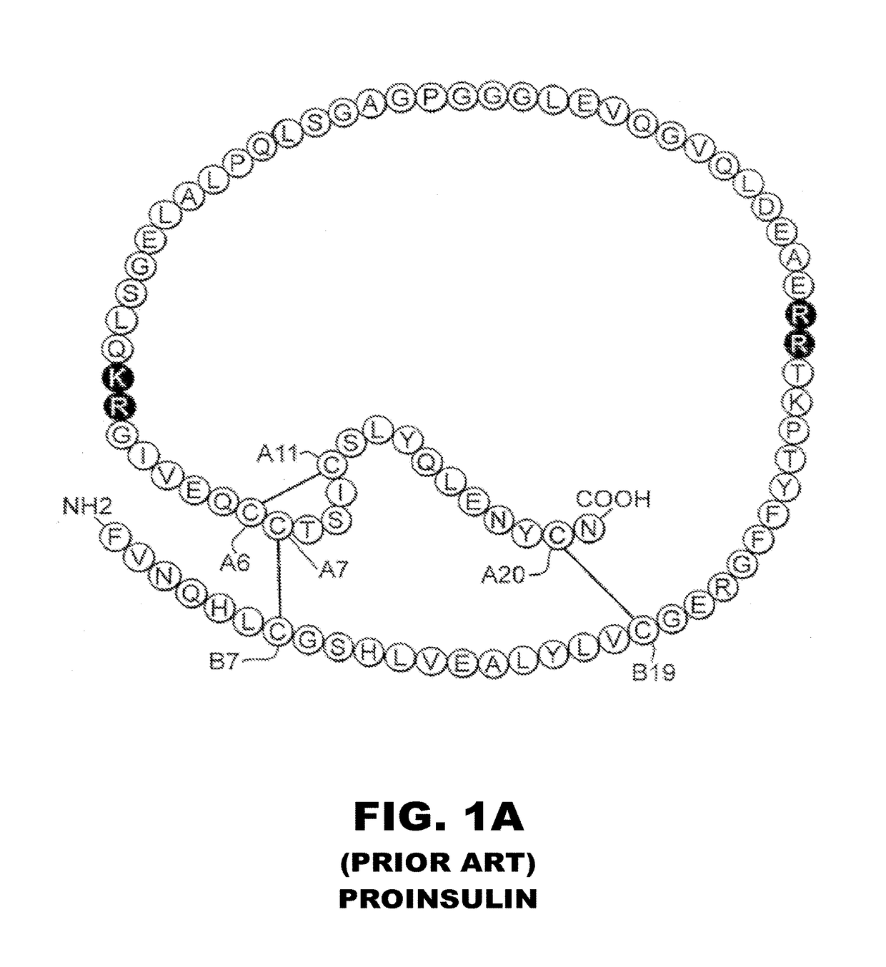 Long-acting insulin analogue preparations in insoluble and crystalline forms