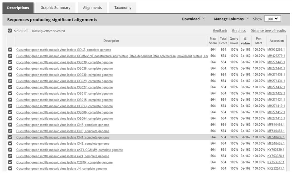 Primer group, kit and method for on-site constant-temperature visualization and fluorescence detection of cucumber green mottle mosaic virus