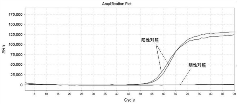 Primer group, kit and method for on-site constant-temperature visualization and fluorescence detection of cucumber green mottle mosaic virus