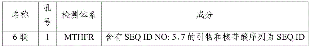 MTHFR and MTRR gene polymorphism detection primer group and kit