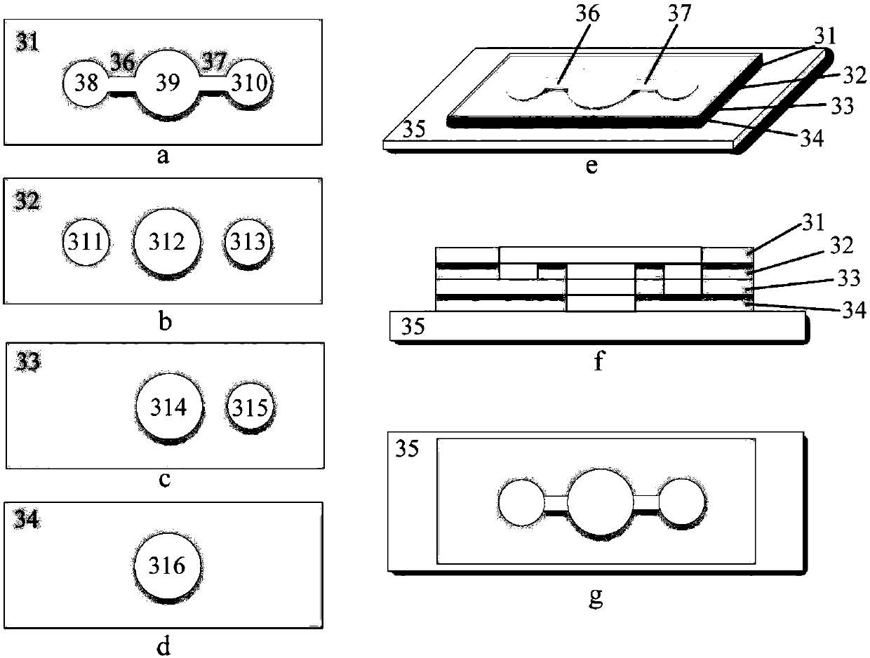 Micro-fluidic chip and method for studying cell chemotaxis