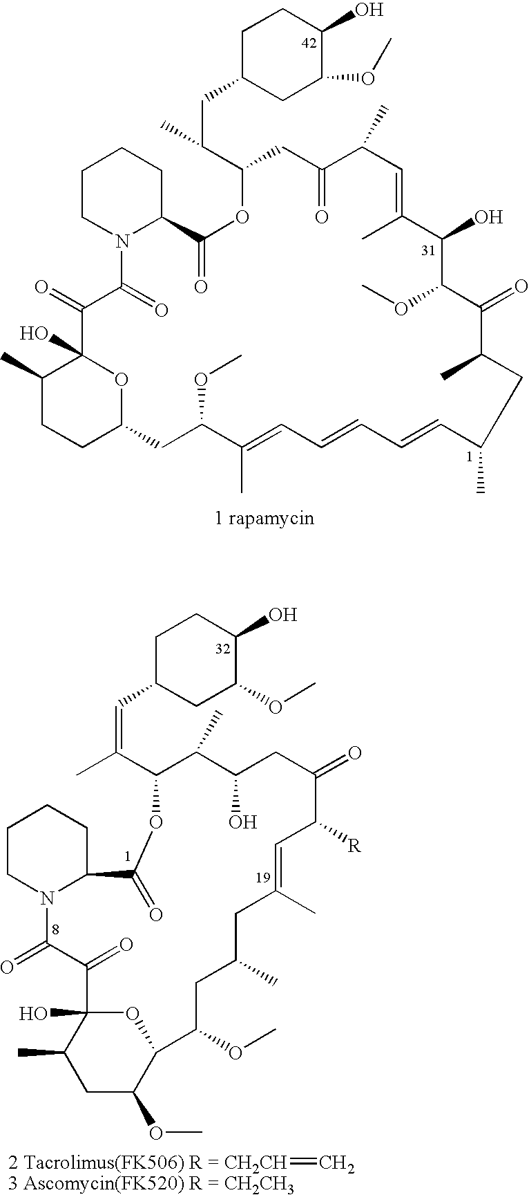 Processes for preparing water-soluble polyethylene glycol conjugates of macrolide immunosuppressants