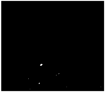 Sun screening agent-coated solid lipid sunscreen particle and preparation method thereof