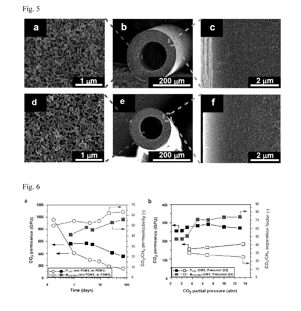 Hybrid polymeric hollow fiber membrane, hybrid carbon molecular sieve hollow fiber membrane, and processes for preparing the same