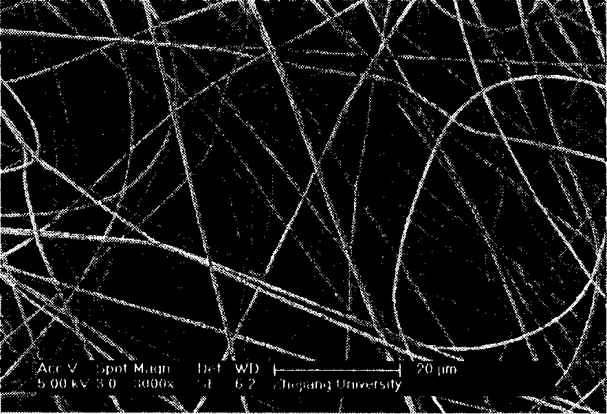 Polyacrylonitrile mesopore-macropore ultrafine carbon fiber and its preparation method