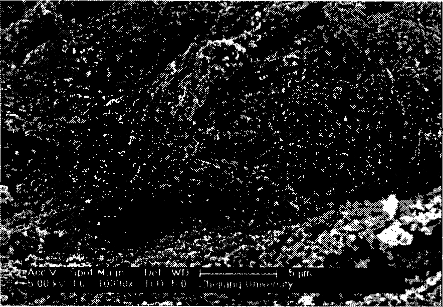 Polyacrylonitrile mesopore-macropore ultrafine carbon fiber and its preparation method