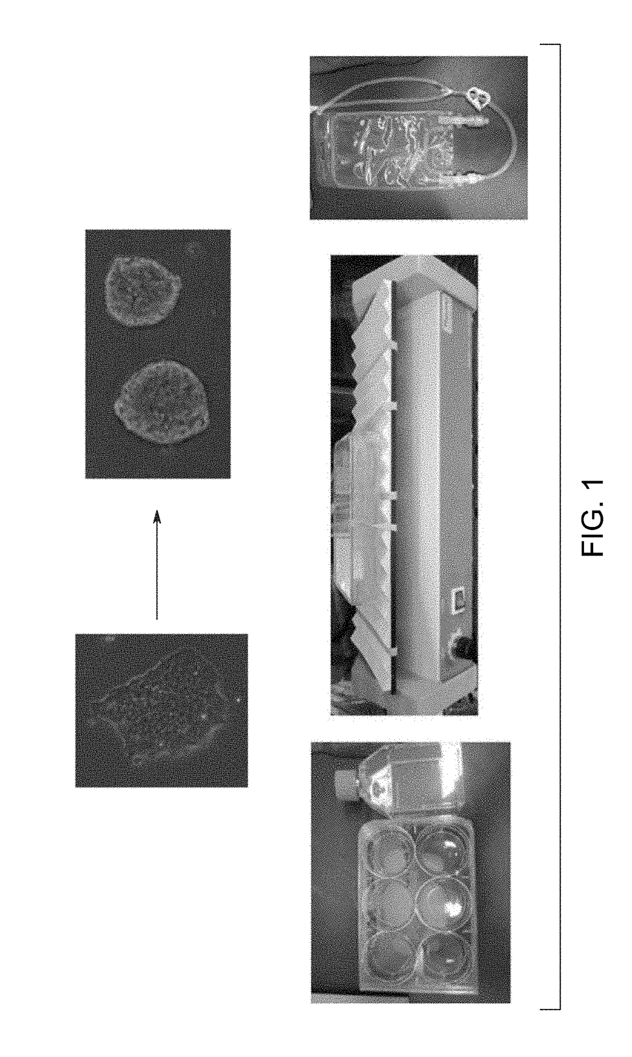 Pluripotent stem cell expansion and passage using a rocking platform bioreactor