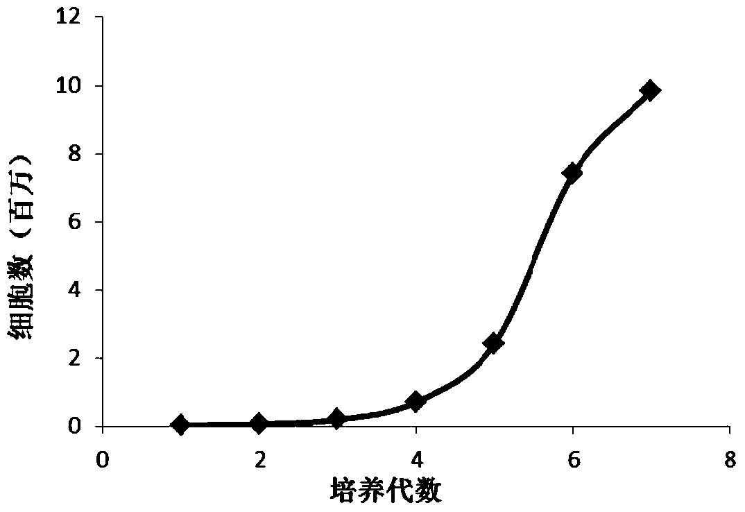 The application of type 1 thioredoxin in the culture of endothelial progenitor cells and the culture method of endothelial progenitor cells