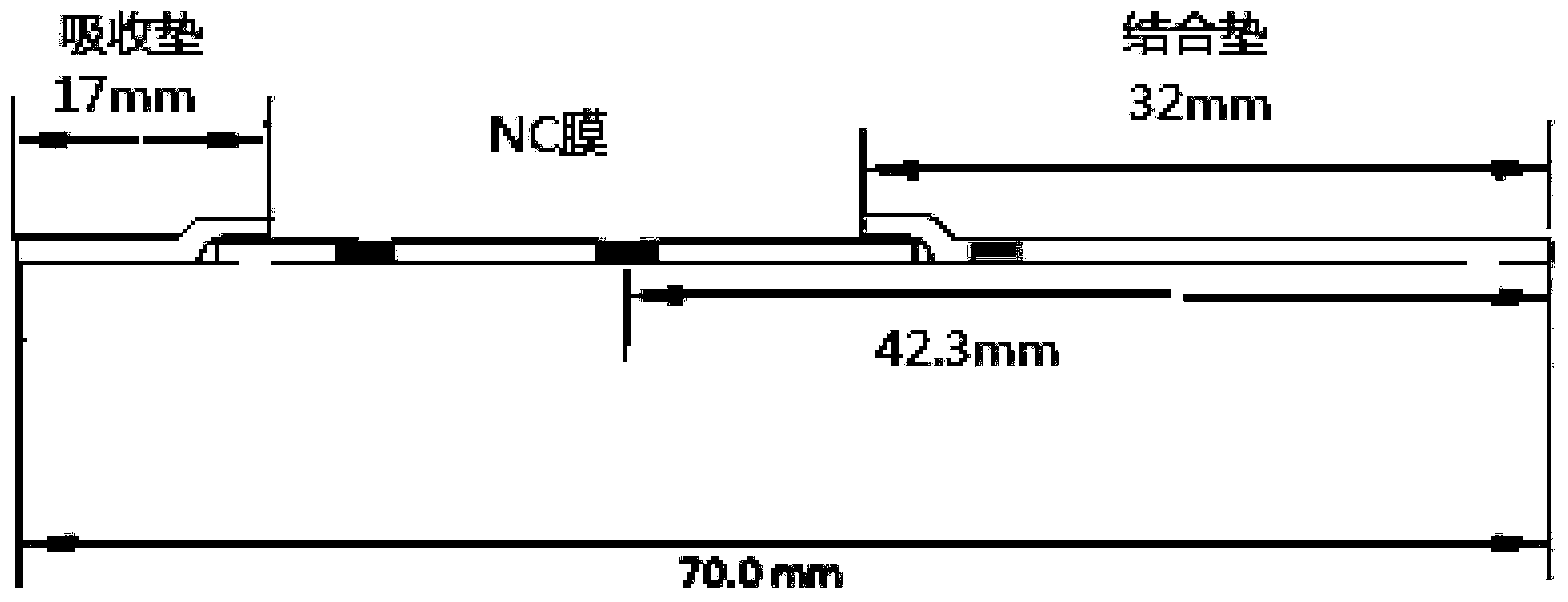 Troponin diagnosis test paper strip for coupled immunomagnetic beads