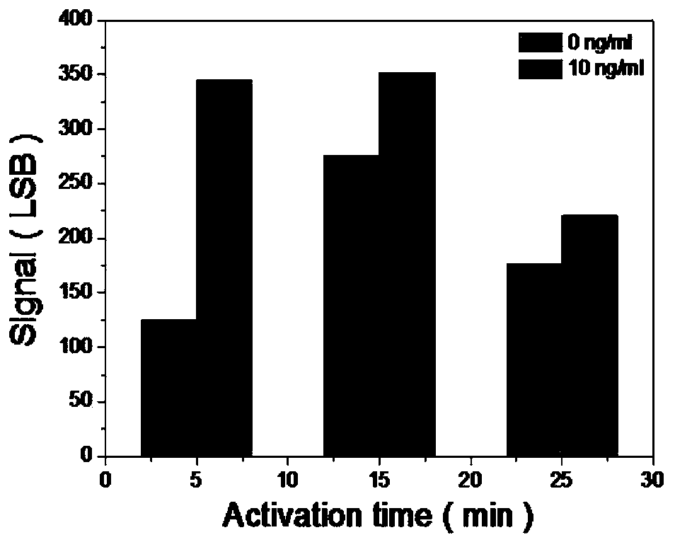 Troponin diagnosis test paper strip for coupled immunomagnetic beads