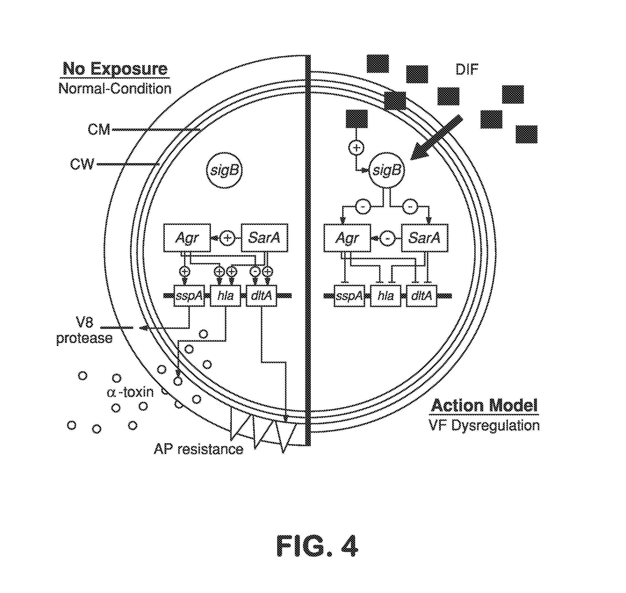 Anti-infective hydroxy-phenyl-benzoates and methods of use