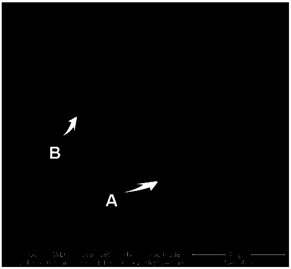 Medical bacterial cellulose/non-woven fabric composite hydrogel facial mask and preparation method thereof