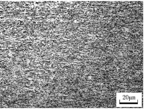 A kind of hot-rolled steel strip for ct100 continuous pipe and its production method