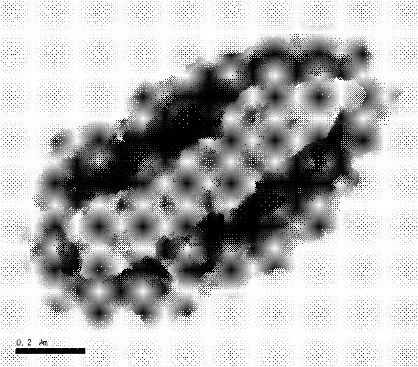 Method for detecting the colon bacillus by combining magnetic nanoparticle enrichment with bi-color flow cytometry