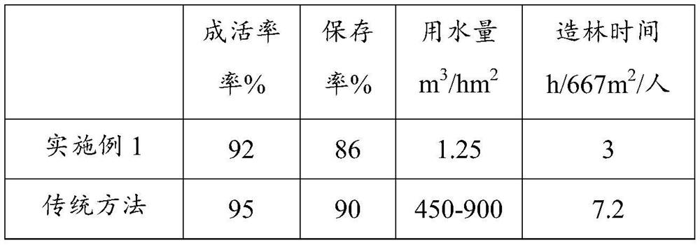 Water-saving irrigation afforestation method and application thereof