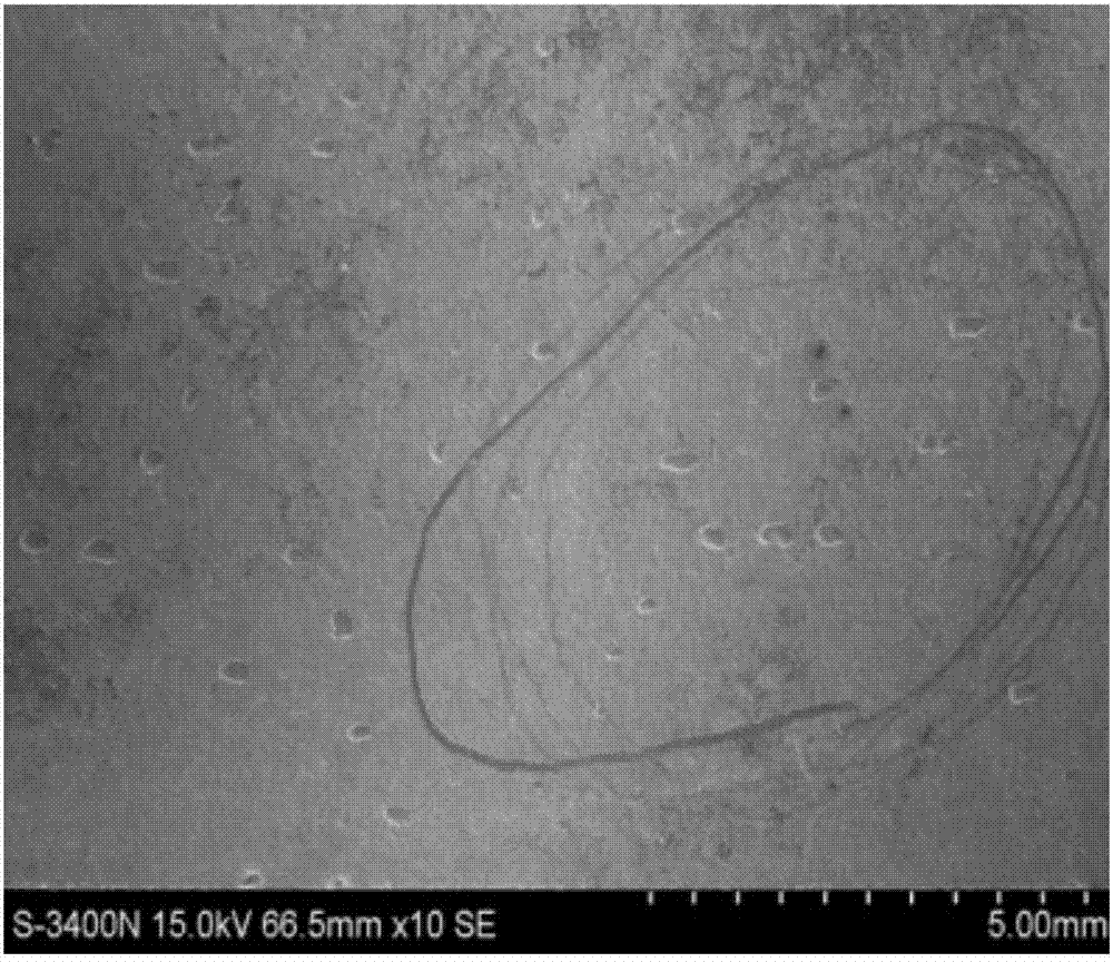 Method for eliminating pinhole-shaped pock flaws of pickling plate