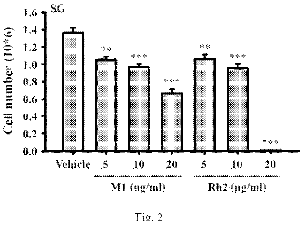 Use of ginsenoside m1 for manufacturing medicament for treating oral cancer