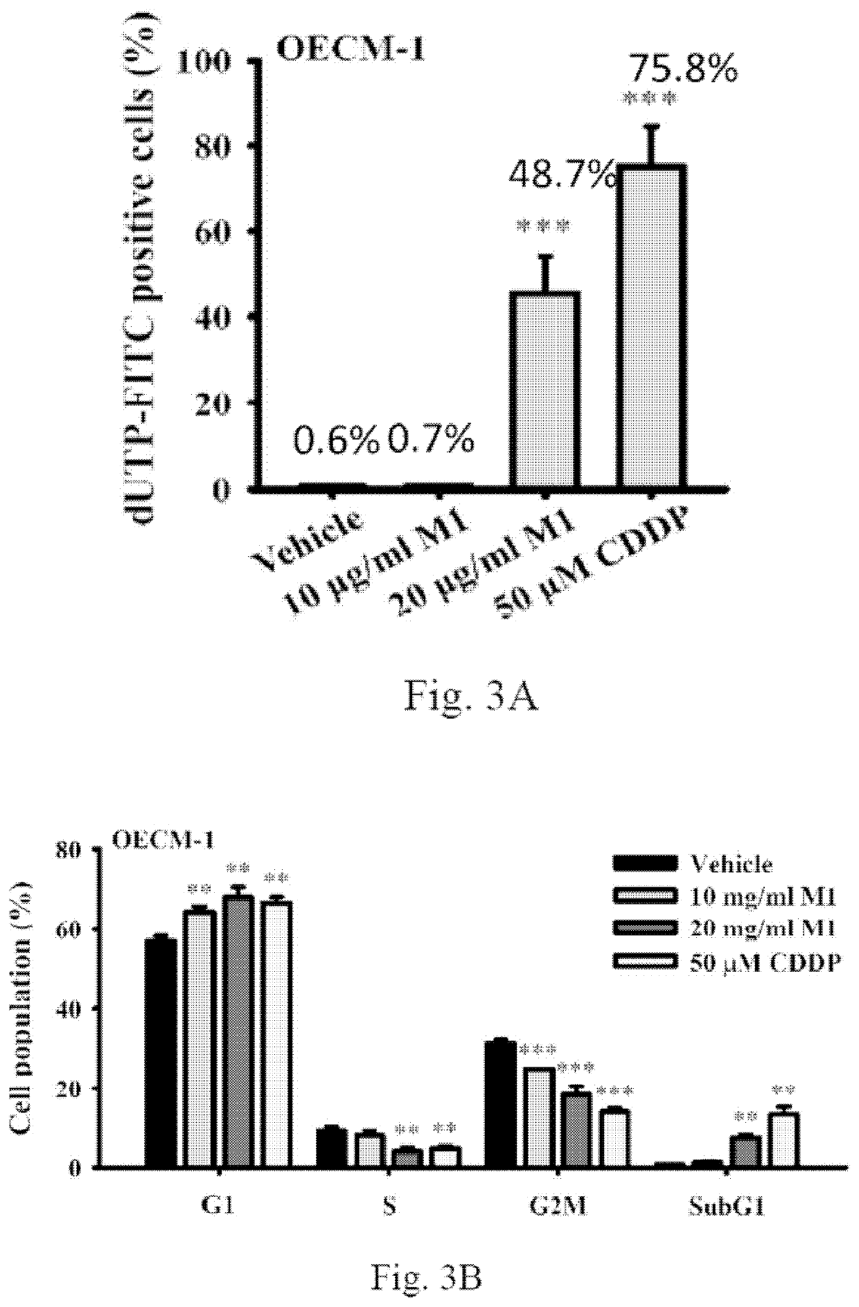 Use of ginsenoside m1 for manufacturing medicament for treating oral cancer