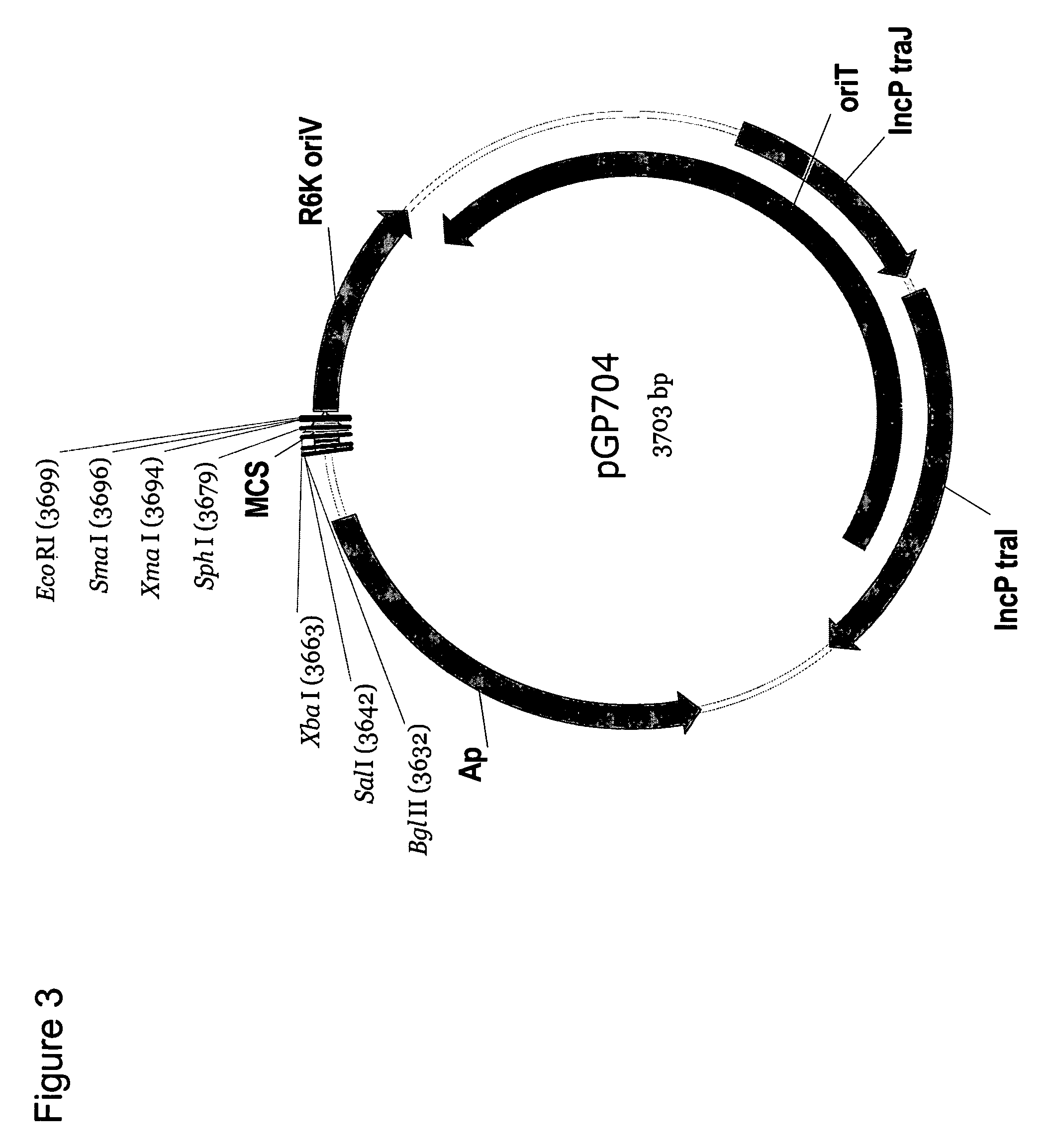 Method to increase carotenoid production in a microbial host cell by down-regulating glycogen synthase