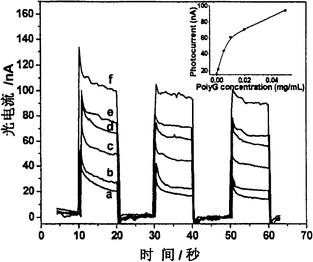 Photo-electro-chemical method for detecting nucleic acid