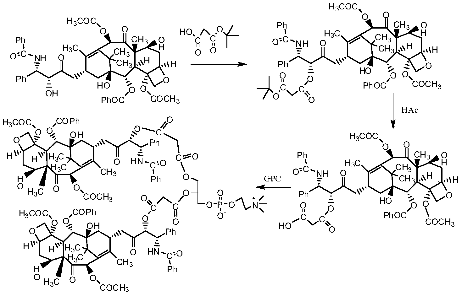 Taxol phospholipids compound, medicine composition and application thereof