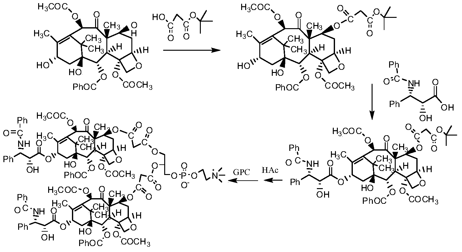 Taxol phospholipids compound, medicine composition and application thereof