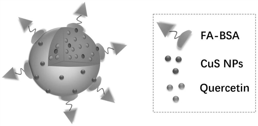 A quercetin drug delivery system based on copper sulfide-metal organic framework materials