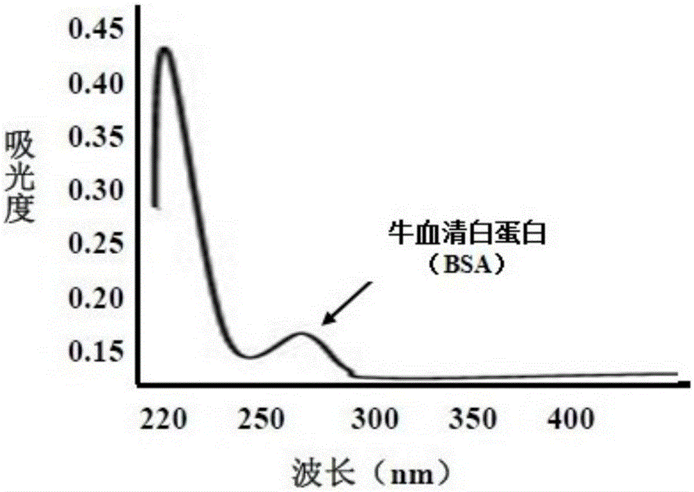 Synthetic method for artificially coupling antigen through aflatoxin B1-carrier proteins